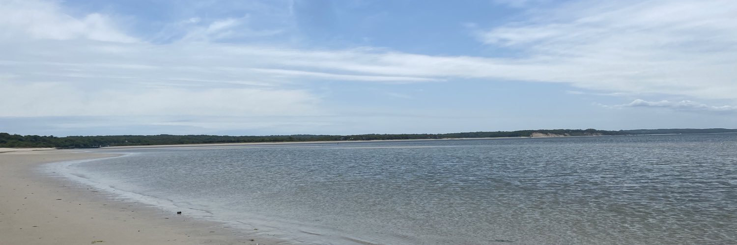laurenscheu's profile banner image