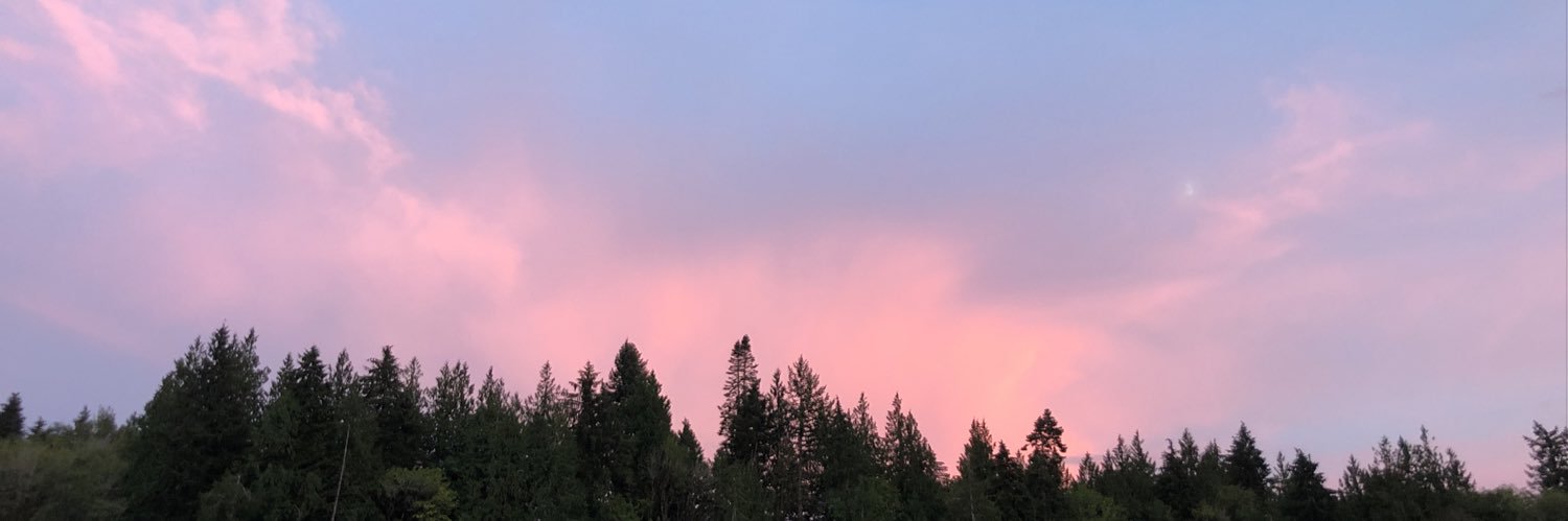 mthepolo's profile banner image