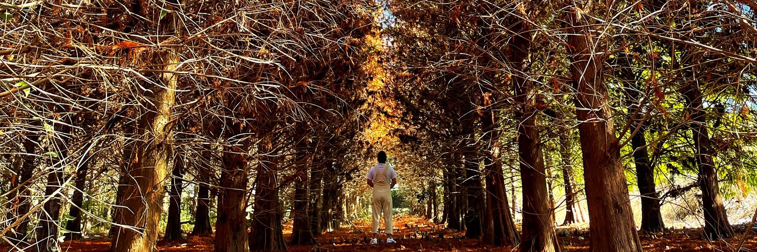 你家的企鵝 banner