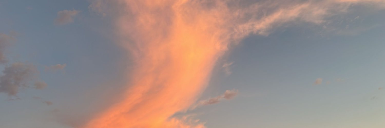 ThaniaRios's profile banner image