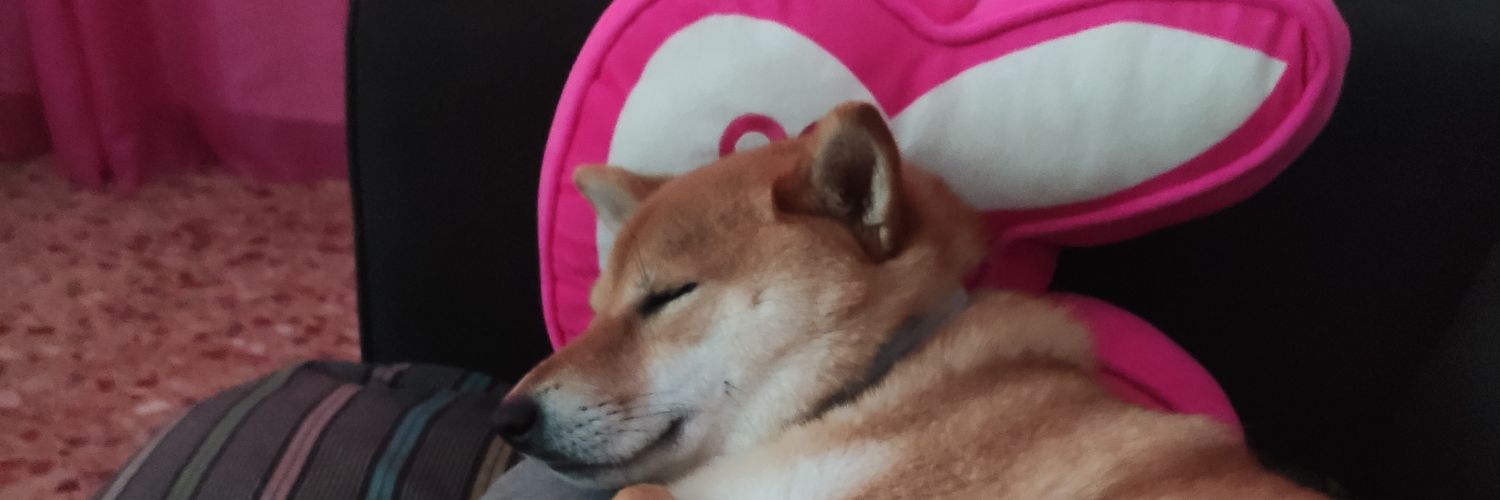 Guille11_'s profile banner image