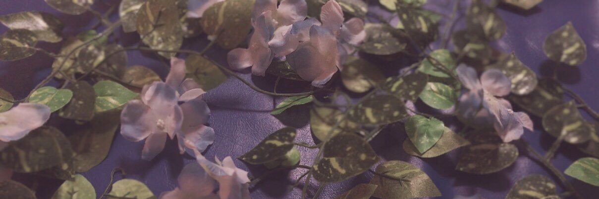 riu's banner