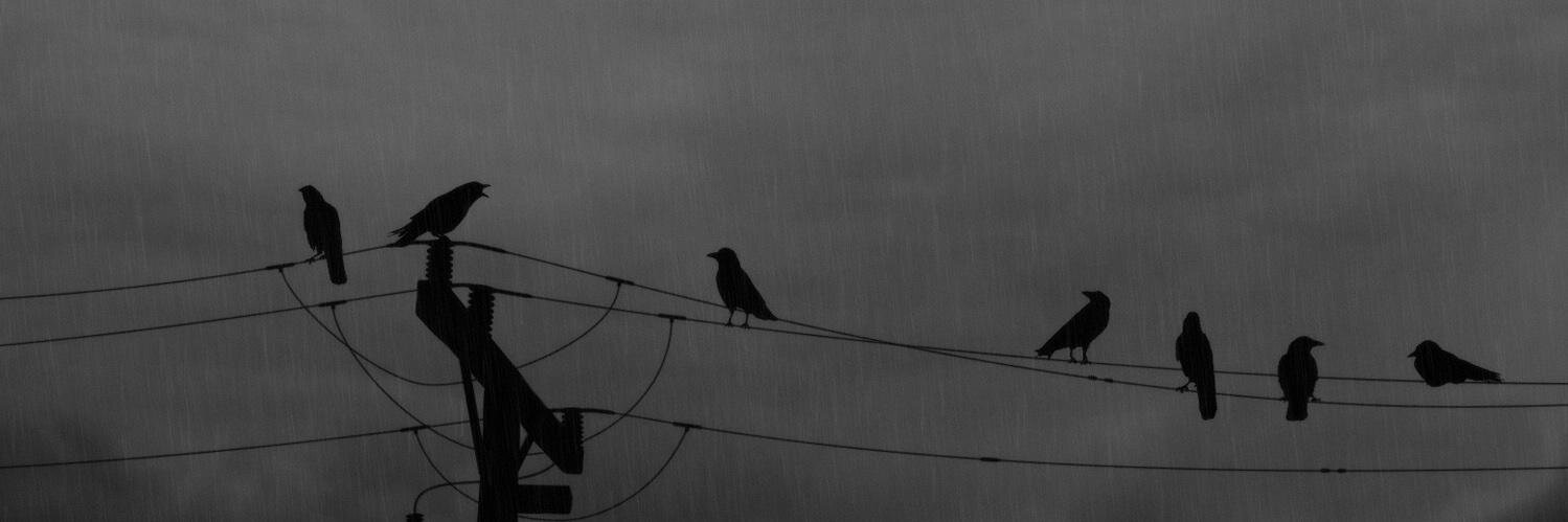 rabih38's profile banner image