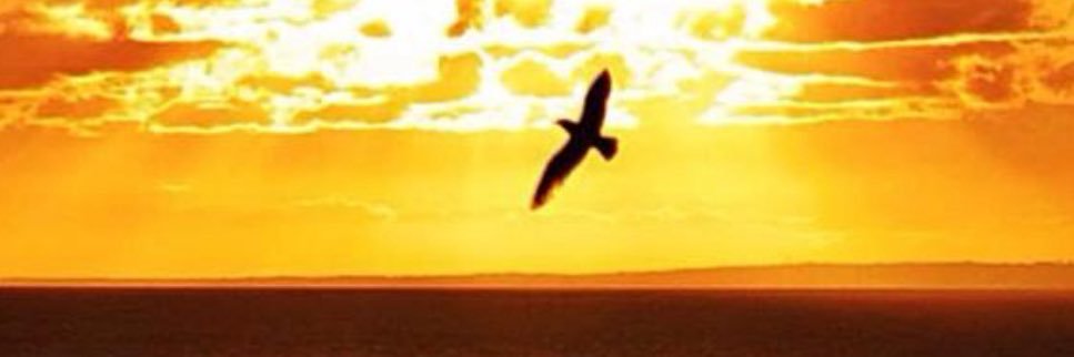 FIANDIFAL's profile banner image