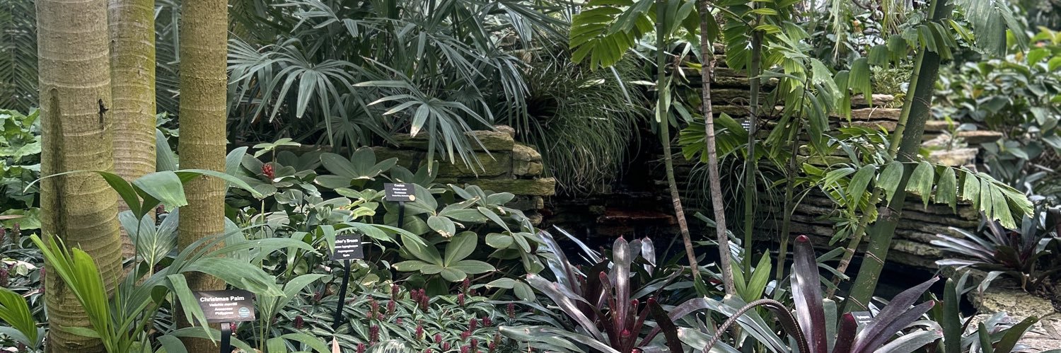 amandaaadurden's profile banner image