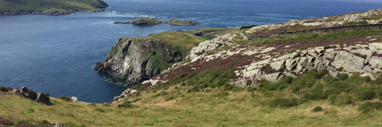 roasted potatoes banner