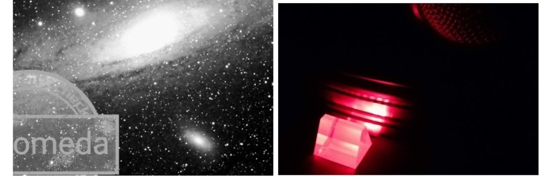 Xevi cd 🐬 🌐fficial banner