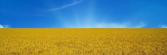 Risto Tolonen banner