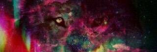 ryaannAN's profile banner image