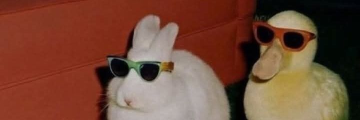 hfzarff_'s profile banner image