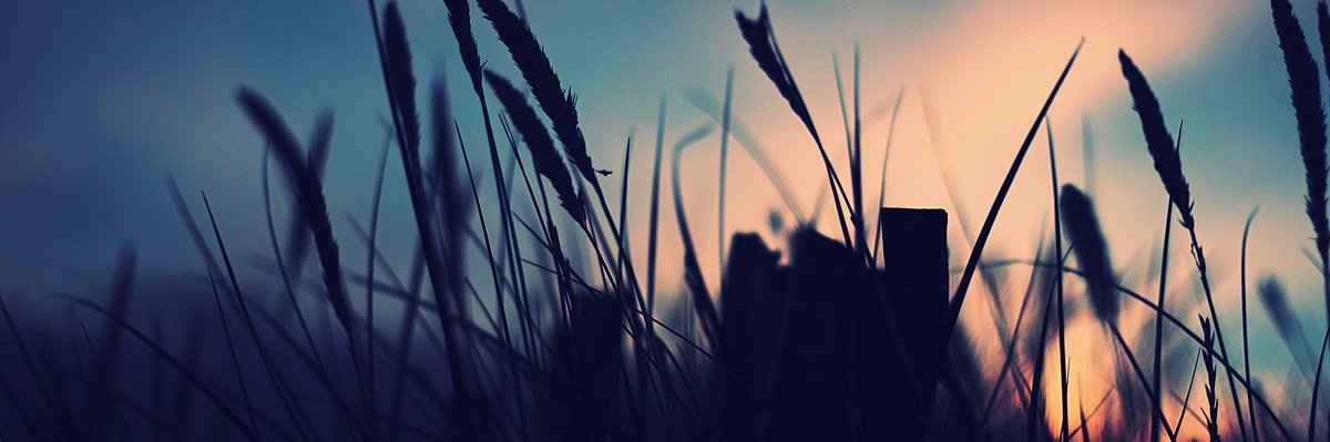 alamoudi_90's profile banner image