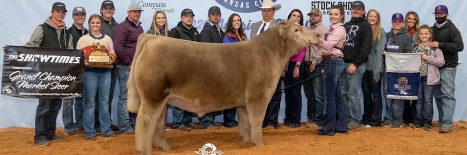 CattleWilson's profile banner image