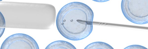 Stem_Cell_Dir Profile Banner