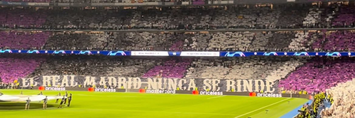 𝙎𝙝𝙖𝙧𝙠 🦈 banner