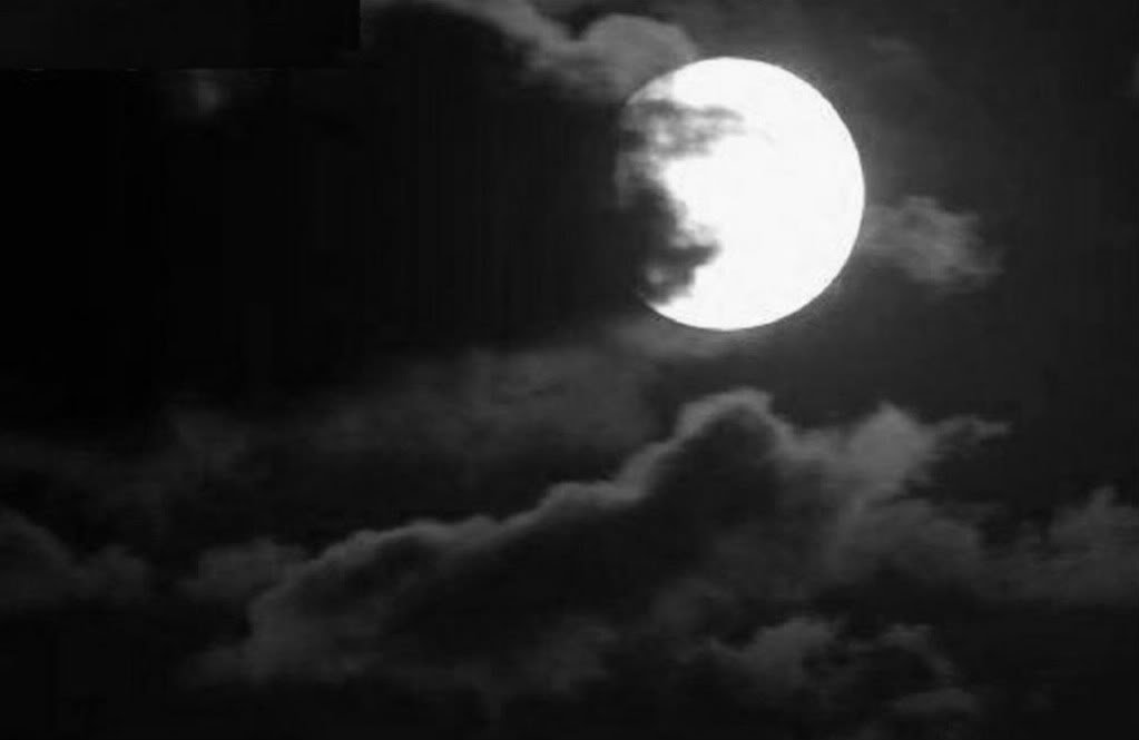 Zwitsa87's profile banner image