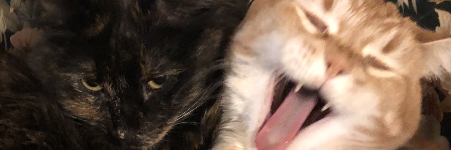 thoracarlson's profile banner image