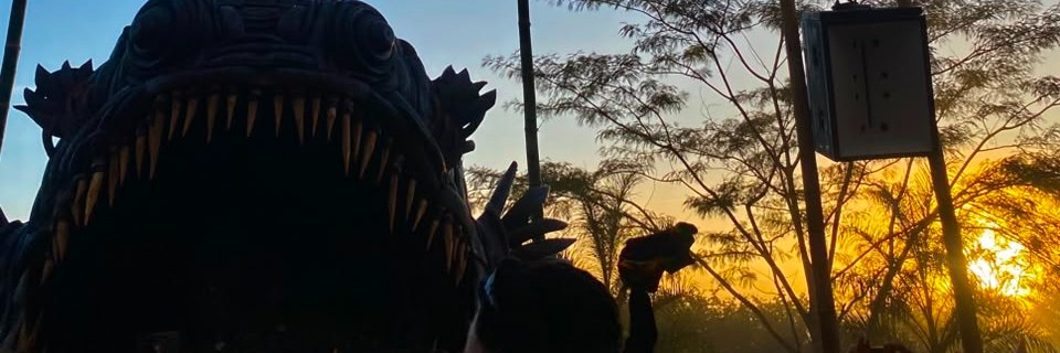 leticicesss's profile banner image