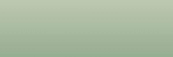 thisnaystore Profile Banner