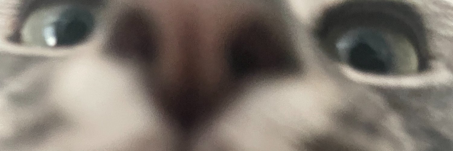 notBlakeae's profile banner image