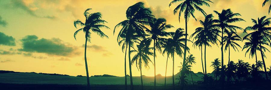 Amberk8_'s profile banner image