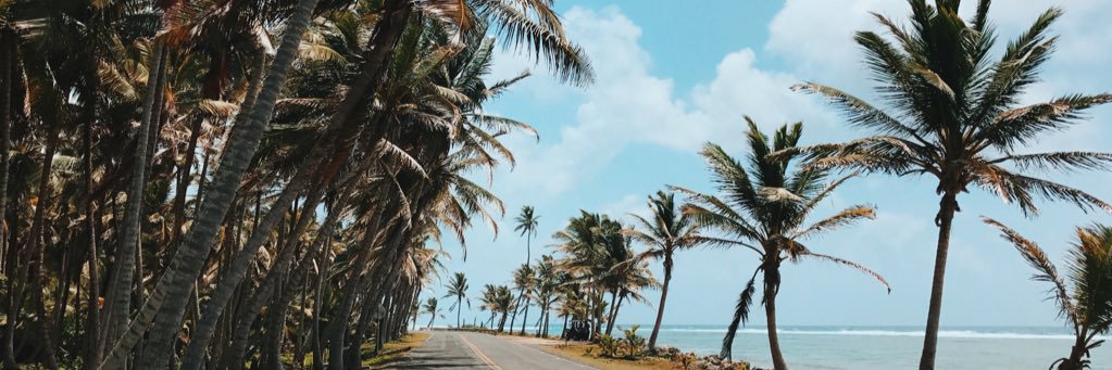 Laura Rojas M. banner