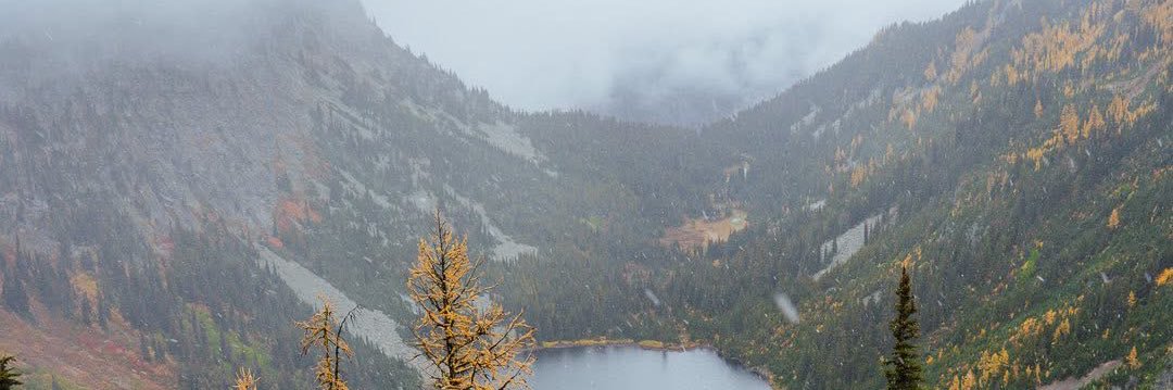 Oregon Advocate banner