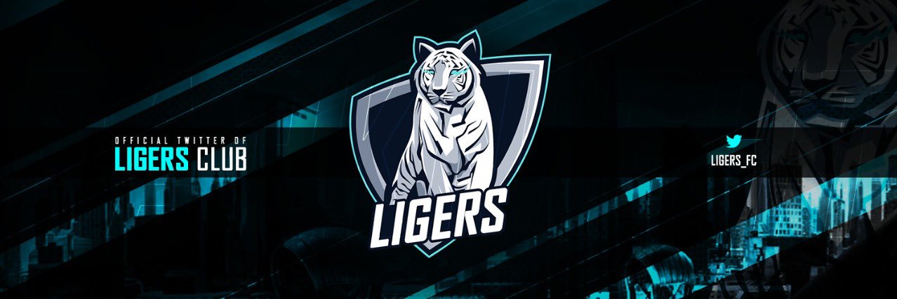 LIGERS banner