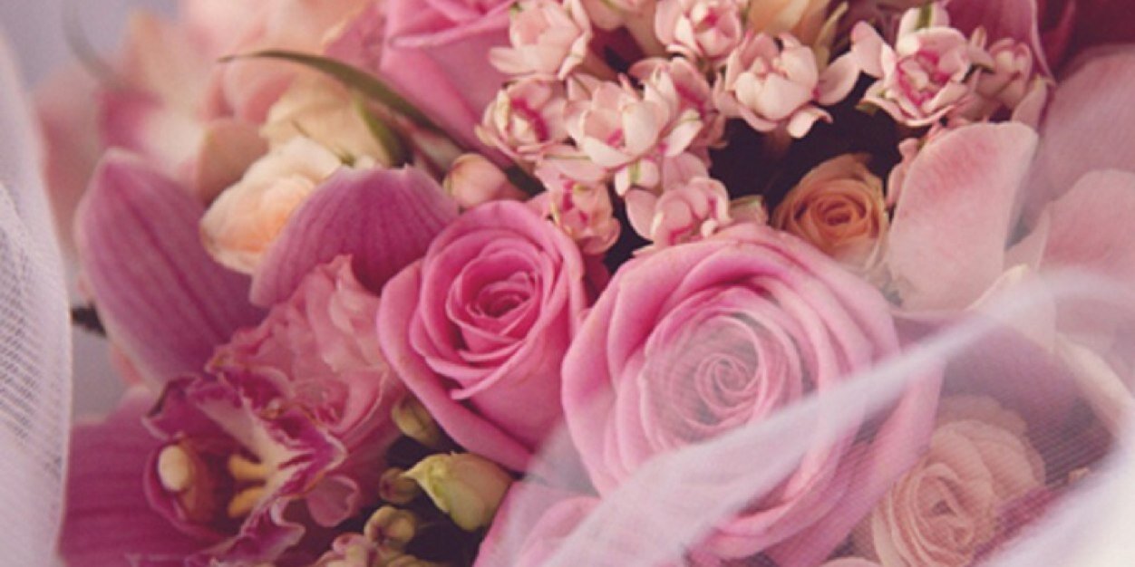 hanan_amk's profile banner image