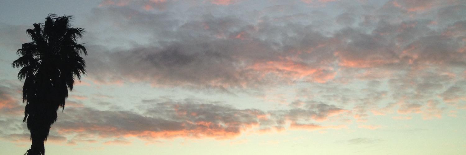 ellylea7's profile banner image