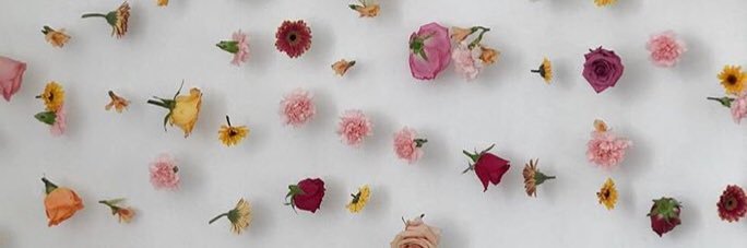 alejandrithagal's profile banner image