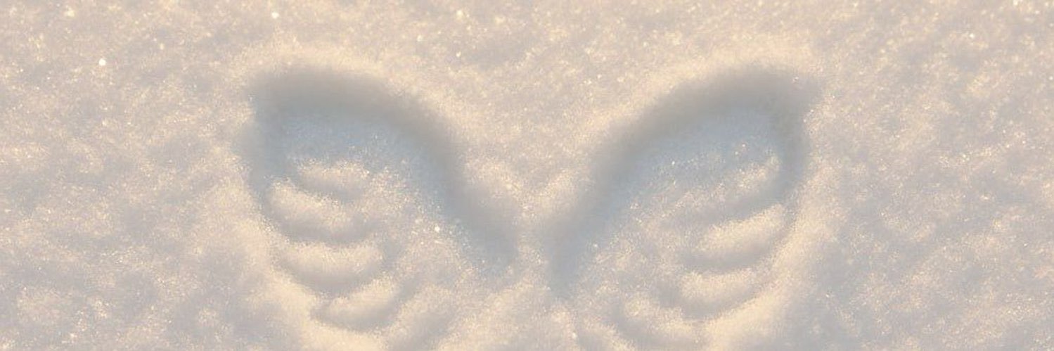 adormury's profile banner image