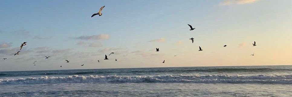 🌞 banner