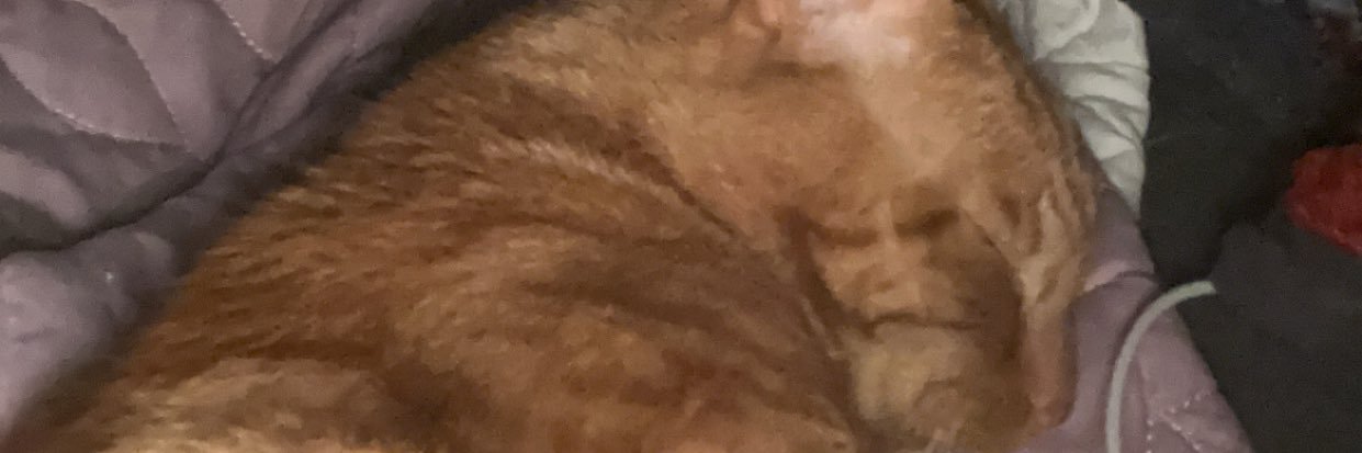 HunterSmallwoo7's profile banner image