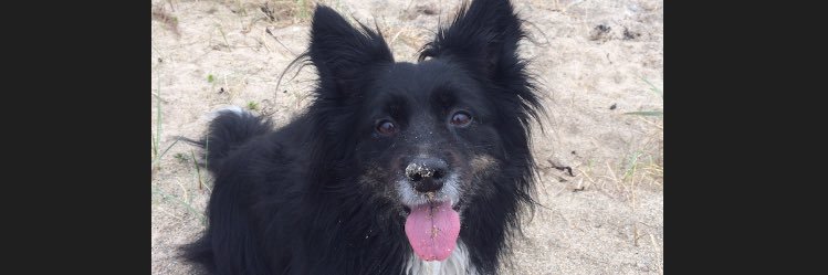 tasbrittx's profile banner image