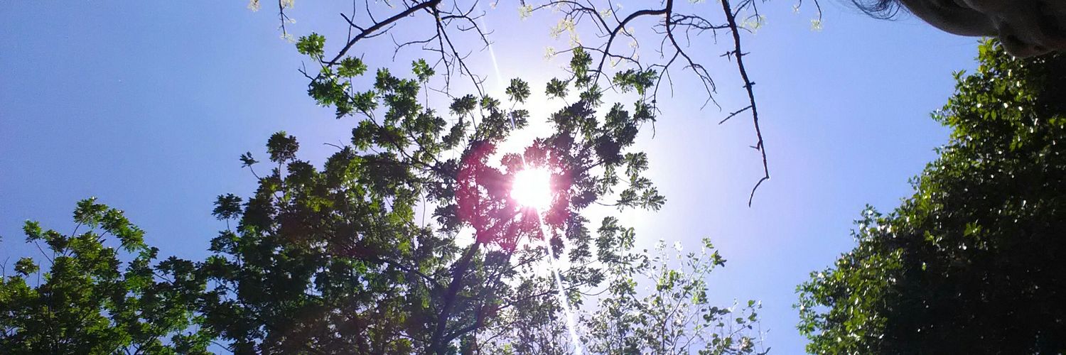 GCheanne's profile banner image