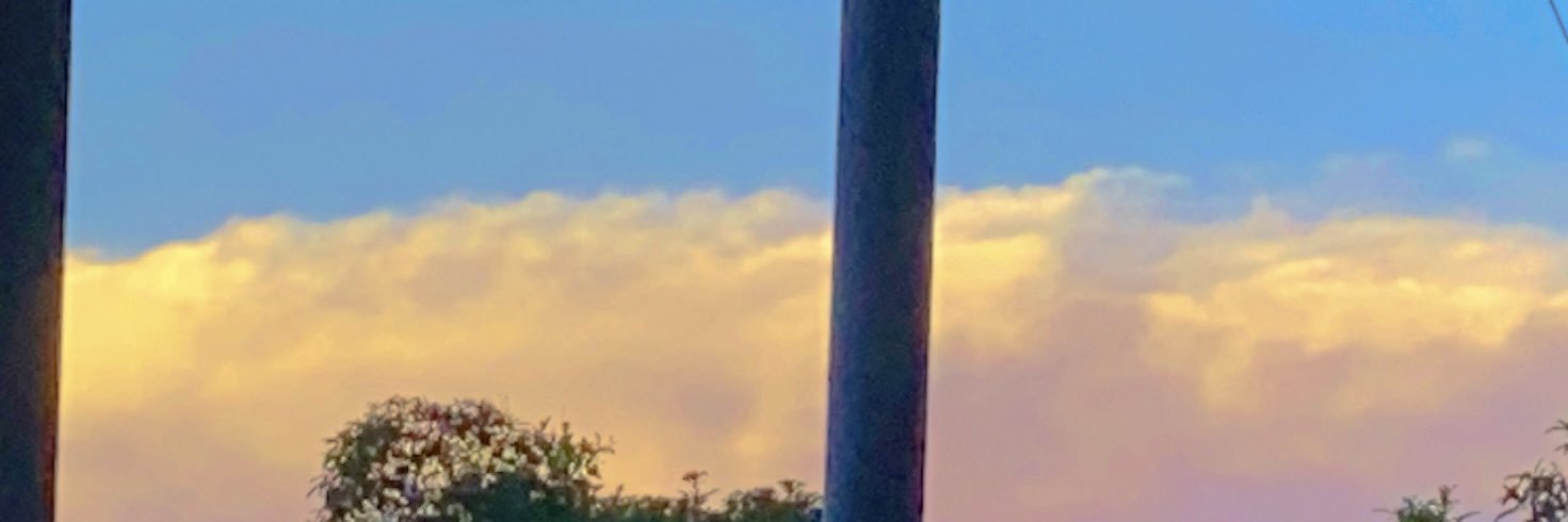 kookoo 🧸 close banner