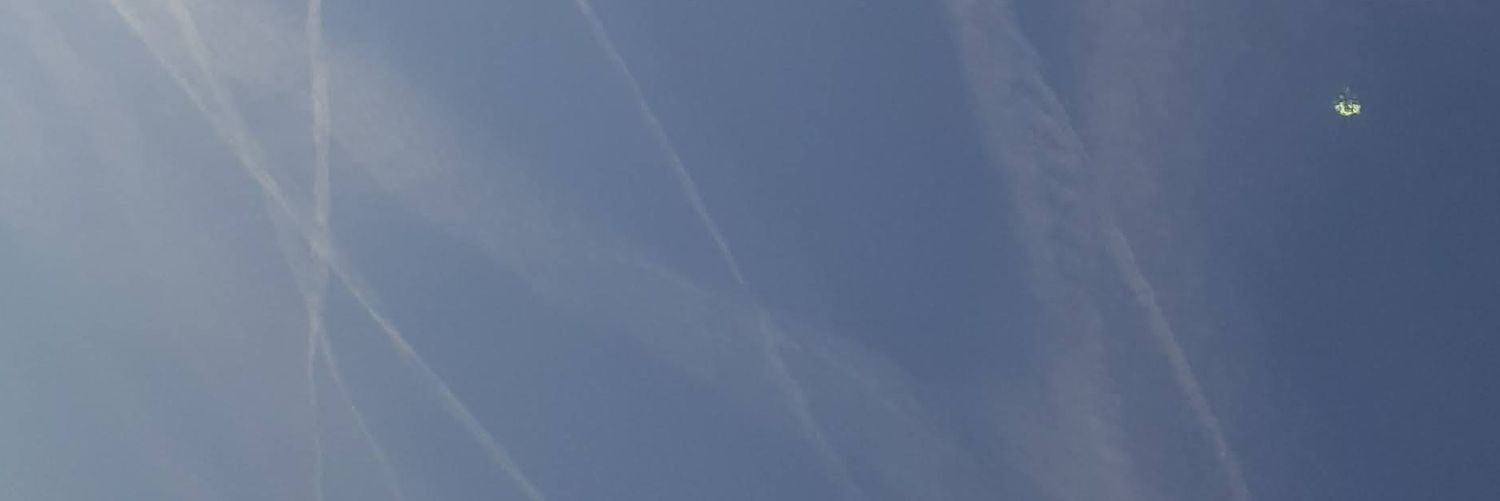 PaperinikEdonna's profile banner image