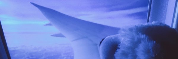 RBamber Profile Banner