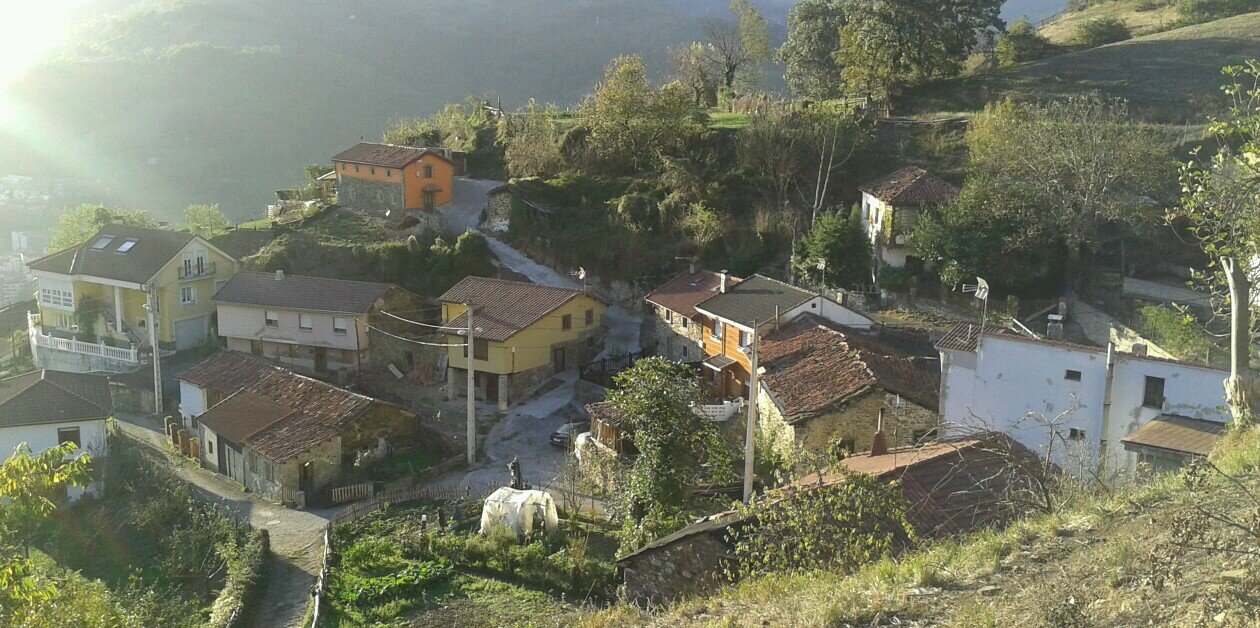 soniatorredel's profile banner image
