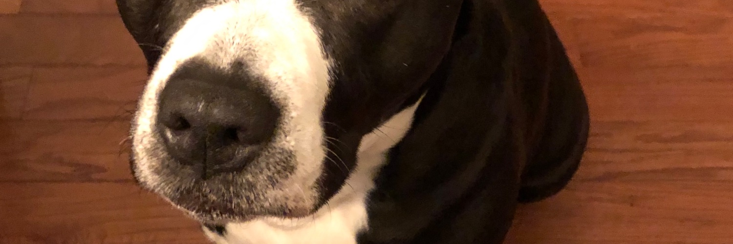 Gisela Marquez banner