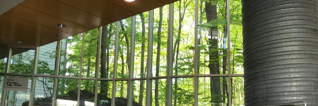 Emmanuelle Picard banner