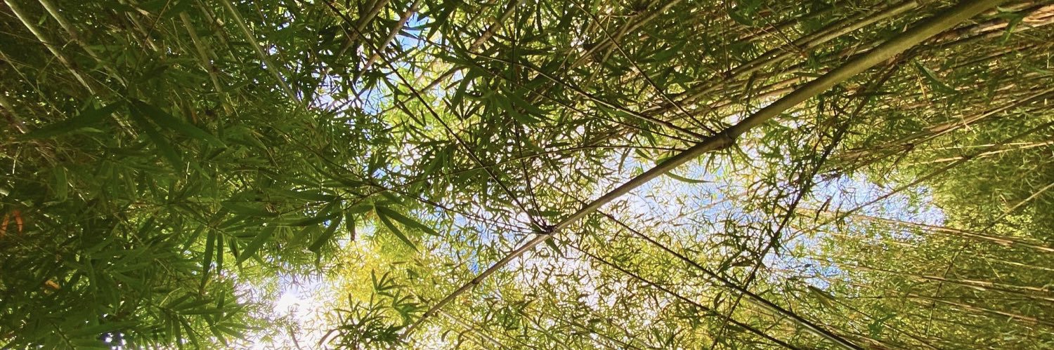 OG MOOSE 🤙🏽 banner