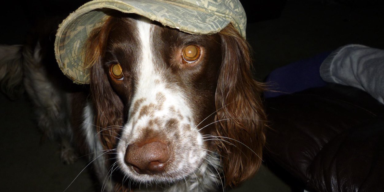 Charlotte Hicks banner