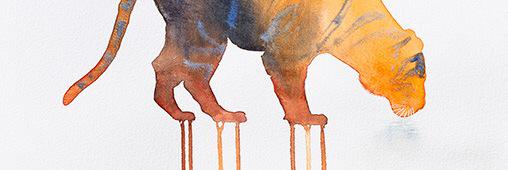 M_Navarroo's profile banner image