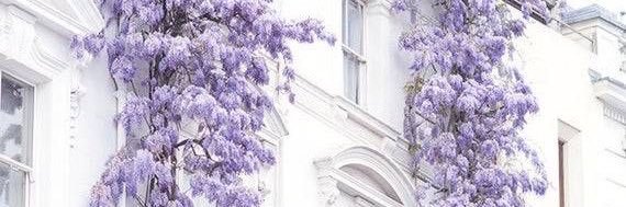 𝖊 🦋 | slr 🙆🏻‍♀️ ✨ banner