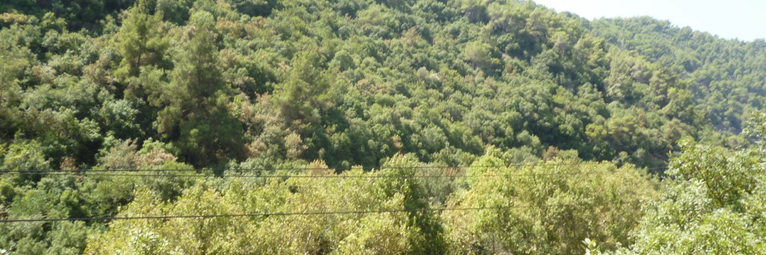 MLhosn's profile banner image