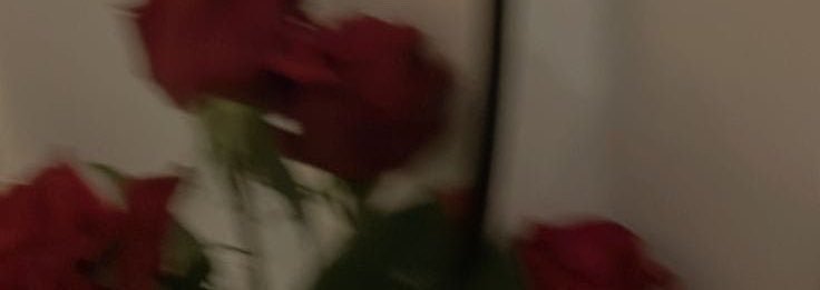 420247ms's profile banner image