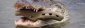 t_cursons's profile banner image