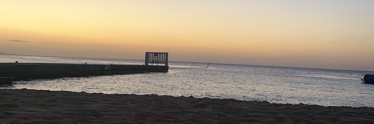 Bree 🇯🇲 banner