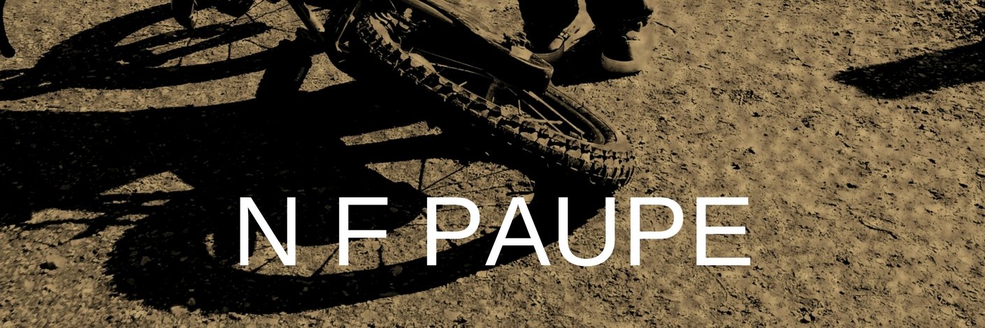 NFPaupe's profile banner image
